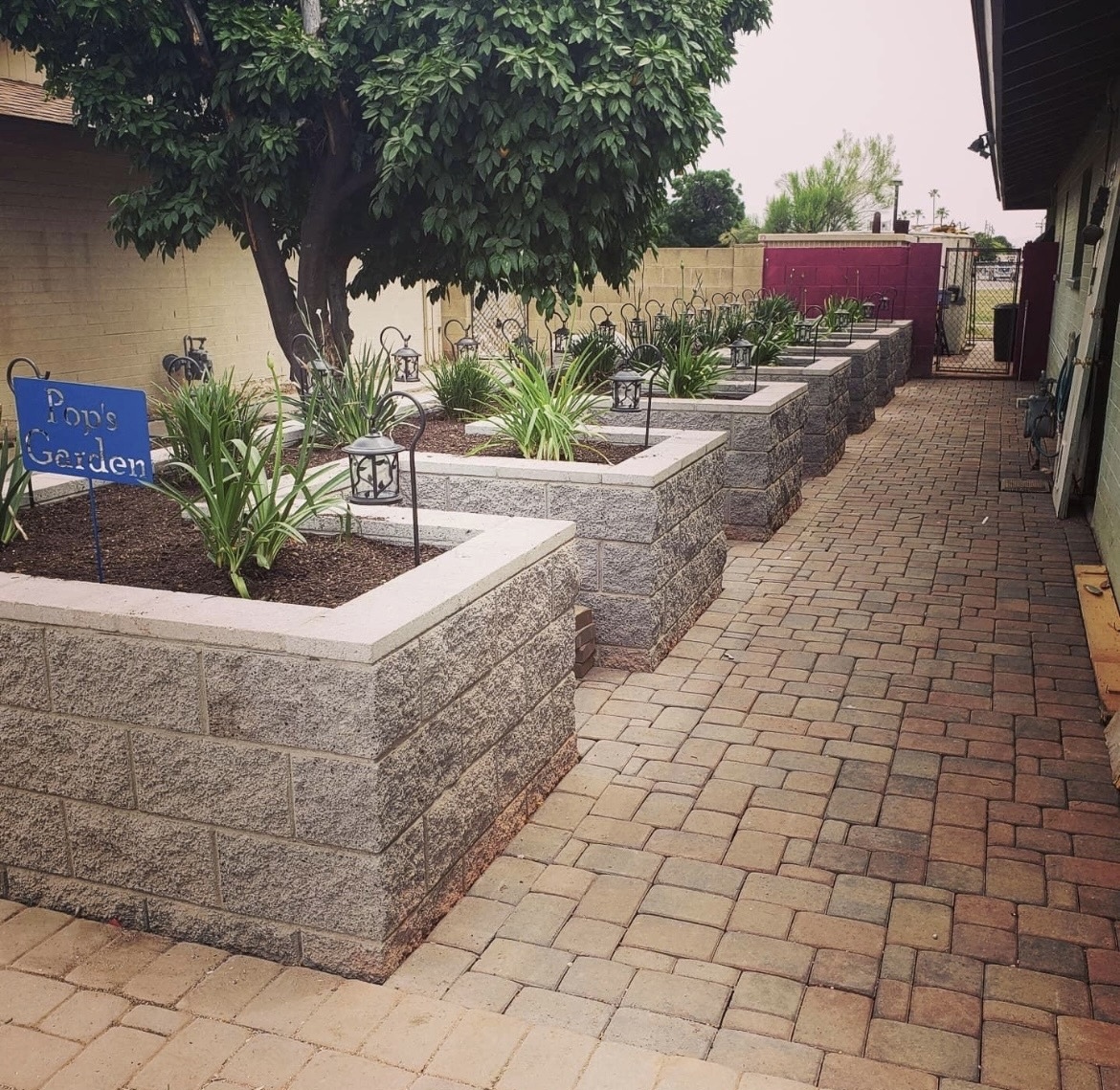 Landscaping Project 6